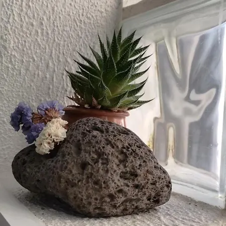 Tiny House *