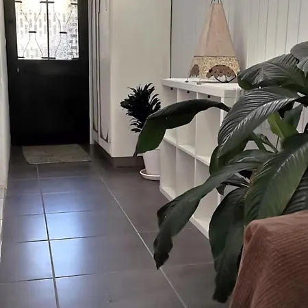 Maison d'hôtes Tiny House